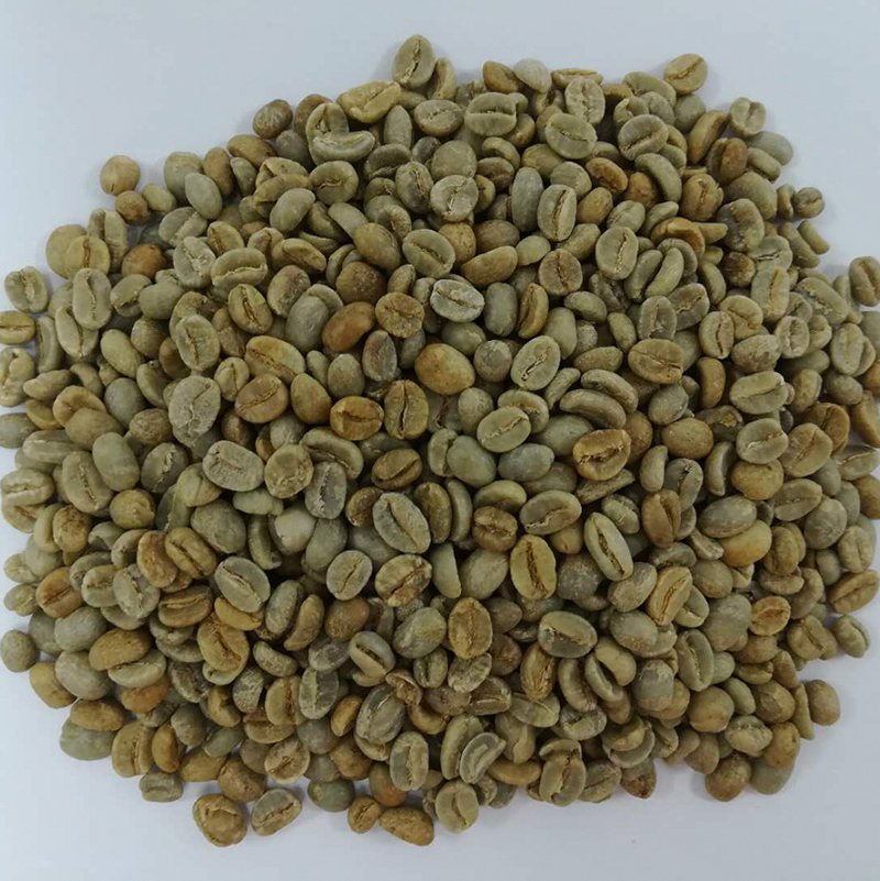 酒香 生豆.jpg