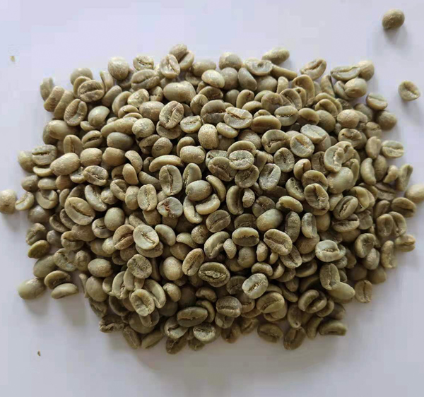 生豆圖.jpg